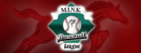 M.I.N.K Baseball League
